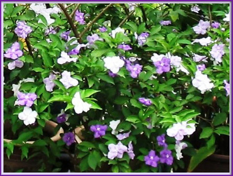 Yesterday-today-tomorrow